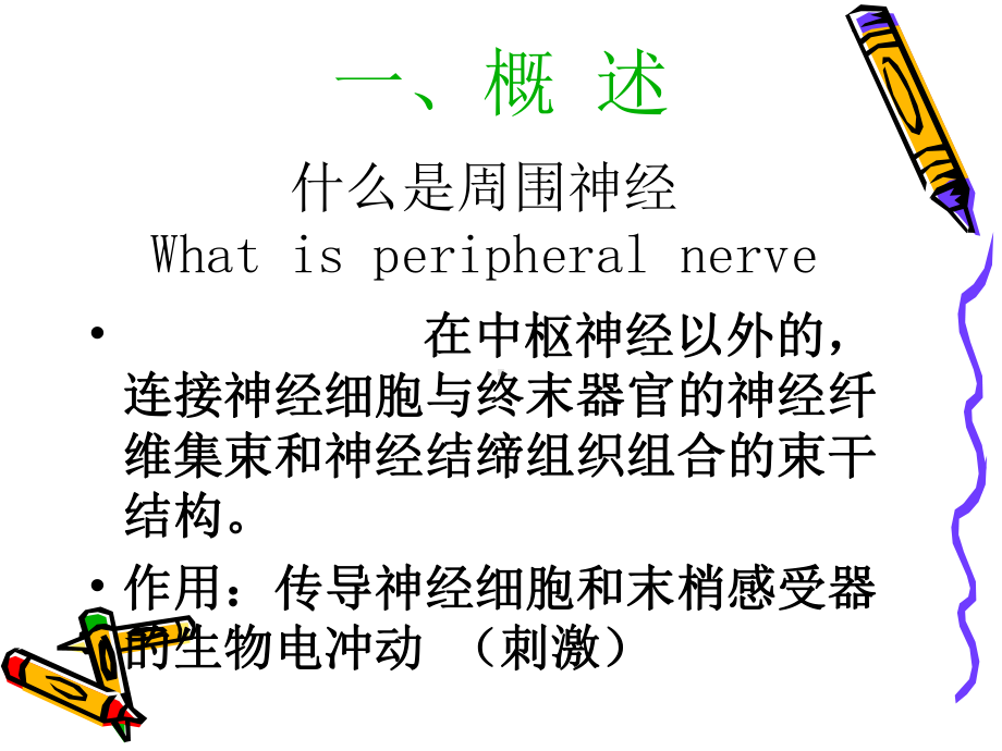 周围神经损伤的康复课件.pptx_第2页