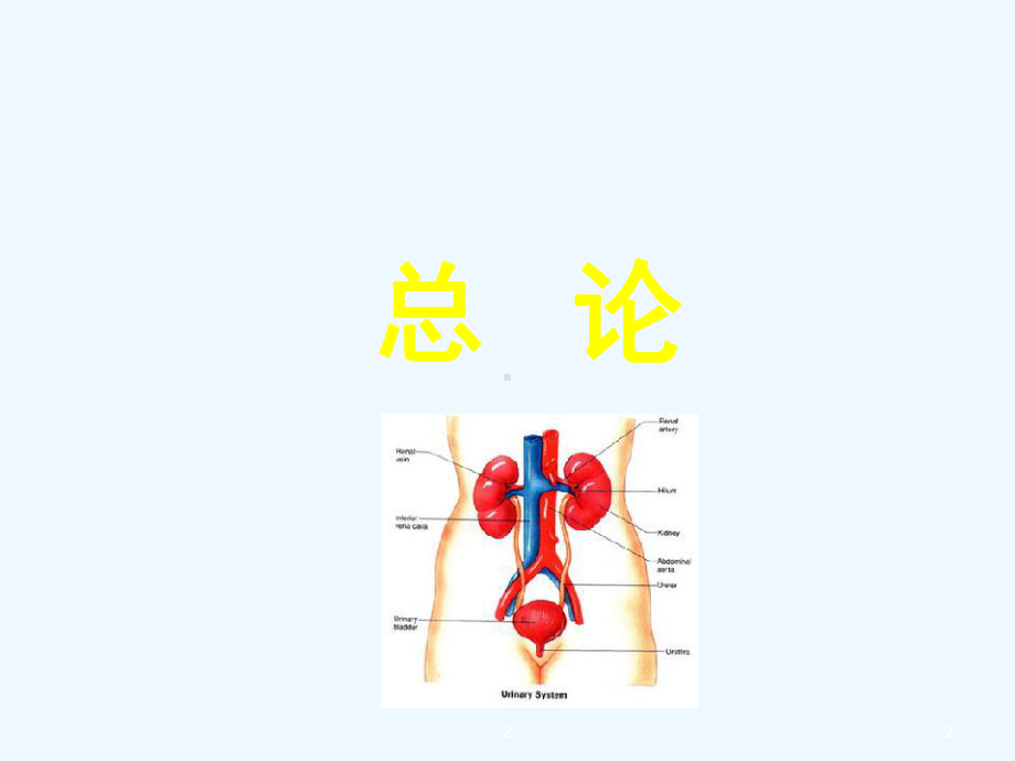 儿科急性肾小球肾炎预防课件.ppt_第2页