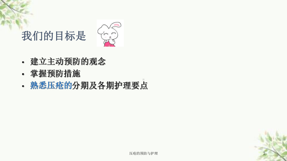 压疮的预防与护理课件.ppt_第2页