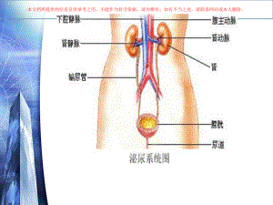 内科学急慢性肾炎培训课件.ppt