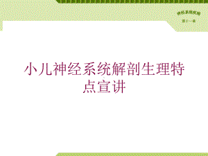 小儿神经系统解剖生理特点宣讲培训课件.ppt