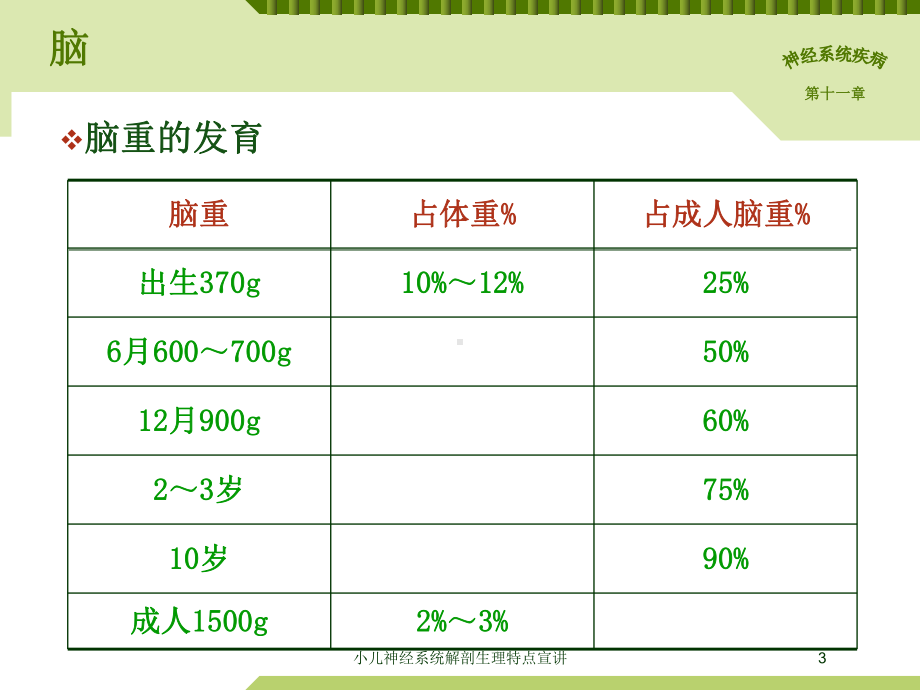 小儿神经系统解剖生理特点宣讲培训课件.ppt_第3页