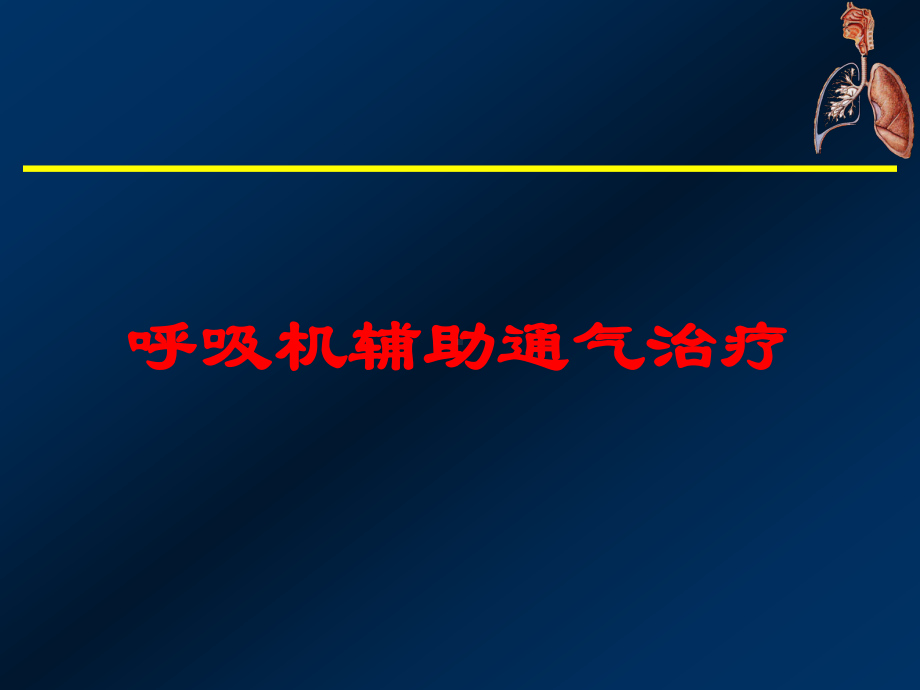 呼吸机辅助通气治疗培训课件.ppt_第1页