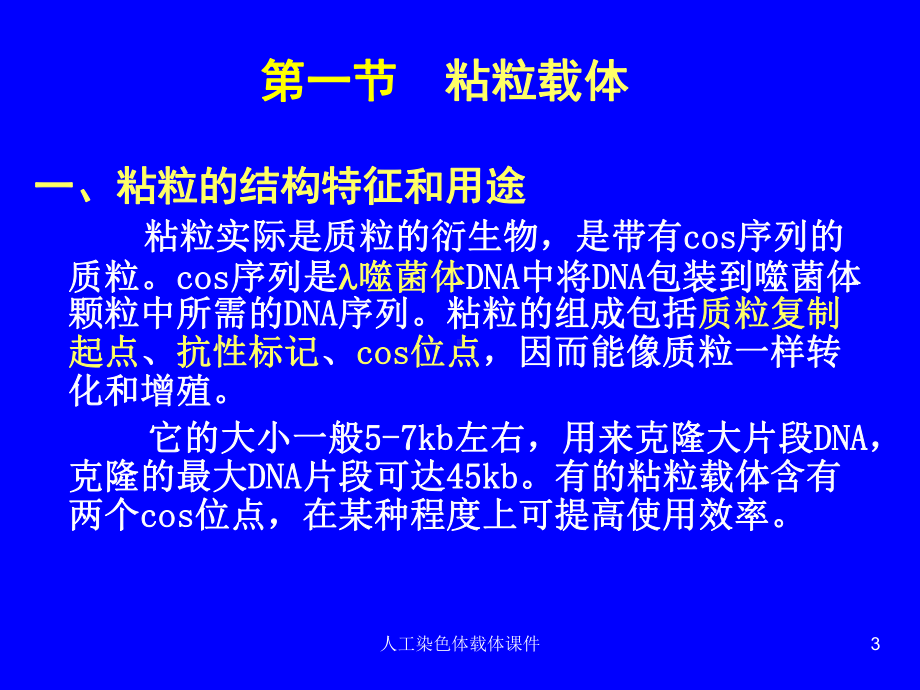 人工染色体载体课件.ppt_第3页