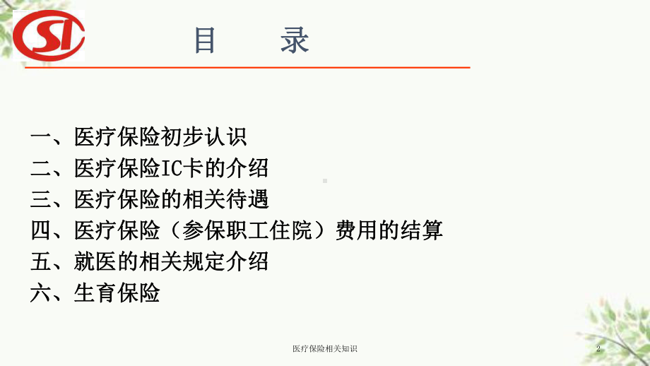 医疗保险相关知识课件.ppt_第2页