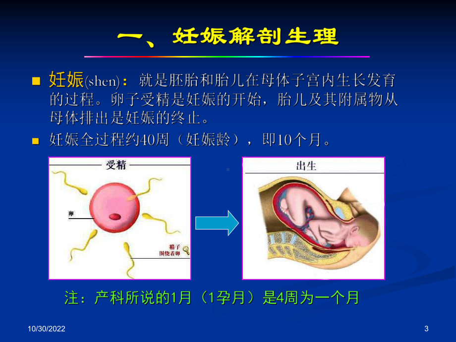 产科正常超声检查与诊断(参考课件).ppt_第3页