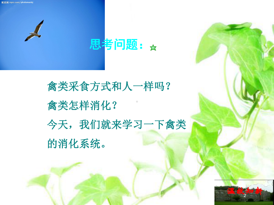 家禽消化系统培训课件.ppt_第2页