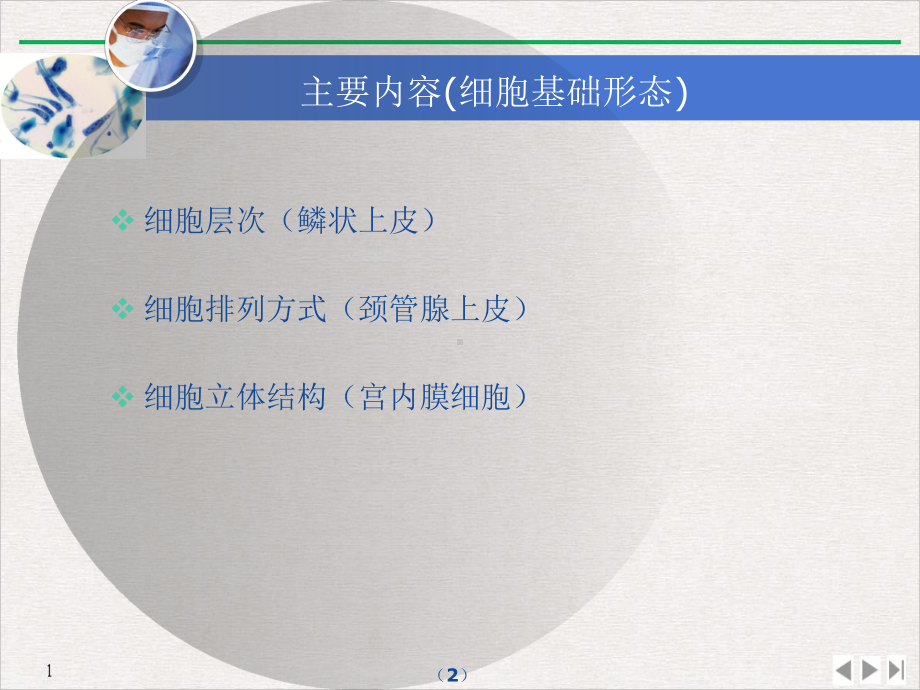 宫颈液基细胞学基本概念解读完美课课件.ppt_第2页