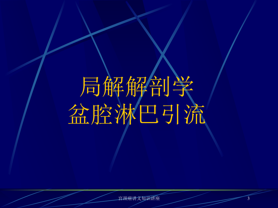 宫颈癌讲义知识讲座培训课件.ppt_第3页