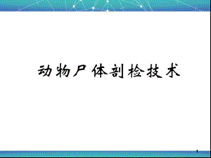 医学课件-动物尸体剖检技术课件.ppt