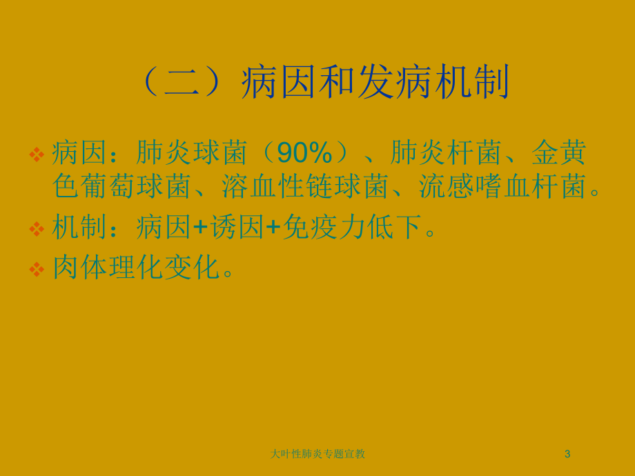 大叶性肺炎专题宣教培训课件.ppt_第3页