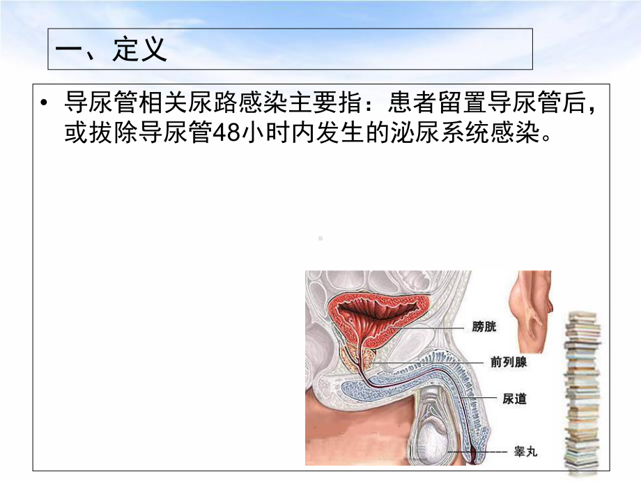 导尿管相关尿路感染教学课件.ppt_第3页