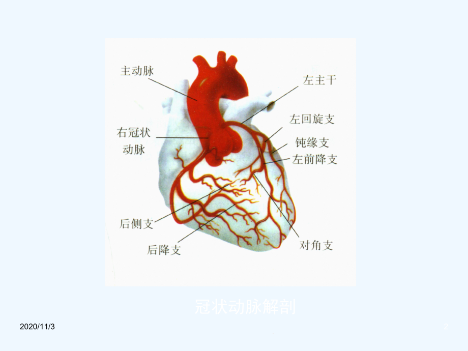 围术期心肌缺血的处理课件.ppt_第2页