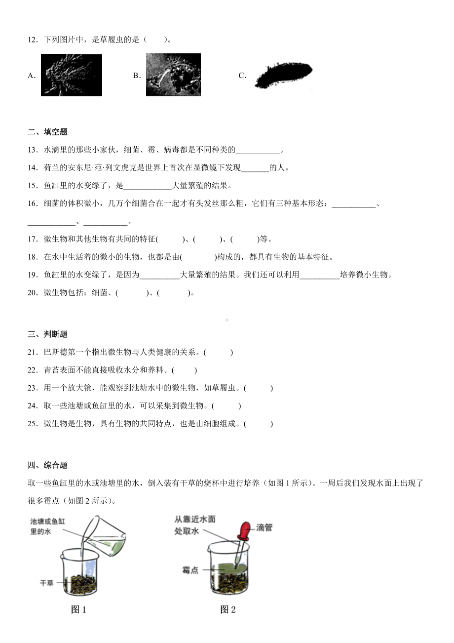 1.6观察水中微小的生物（练习）（含答案）-2022新教科版六年级上册《科学》.docx_第2页