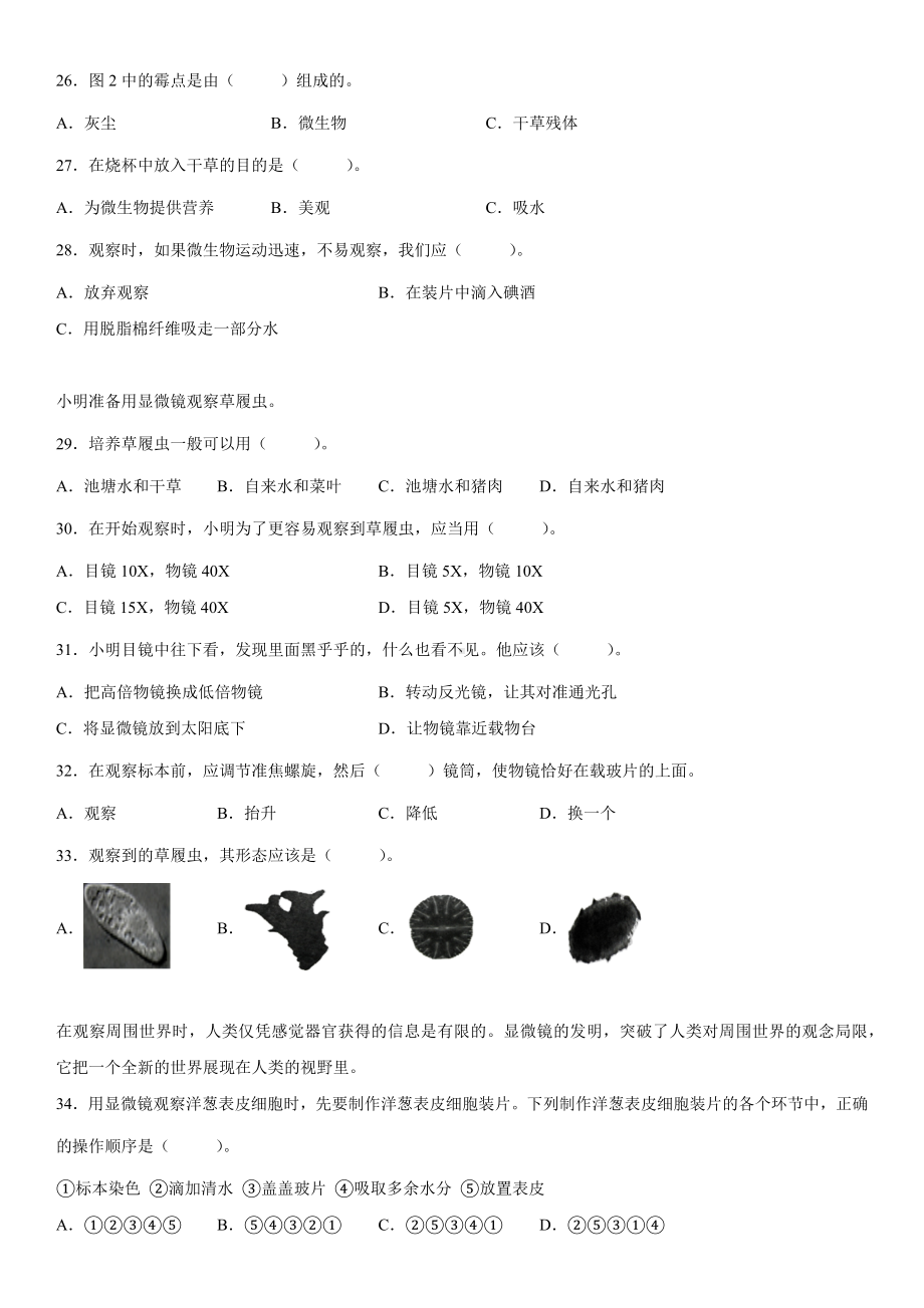 1.6观察水中微小的生物（练习）（含答案）-2022新教科版六年级上册《科学》.docx_第3页