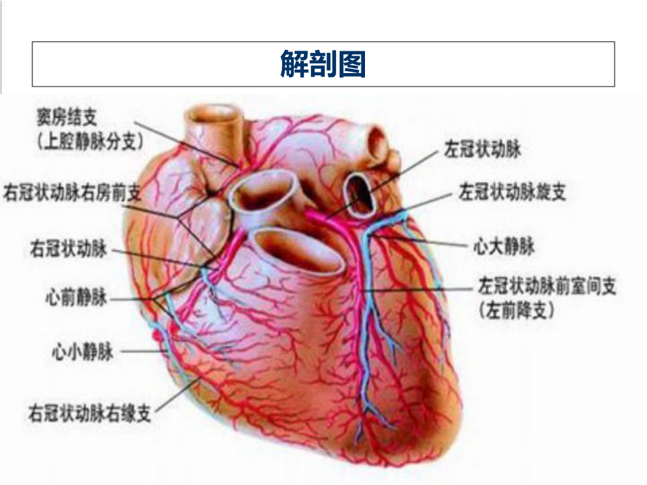 医学课件-急性心肌梗死的护理查房课件.ppt_第2页