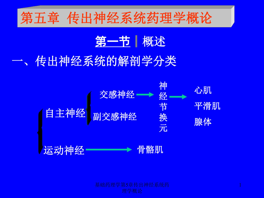 基础药理学第5章传出神经系统药理学概论课件.ppt_第1页