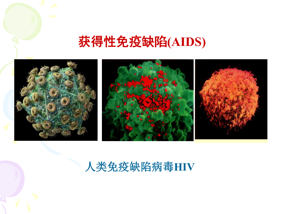 免疫学绪论讲义课件.ppt_第3页