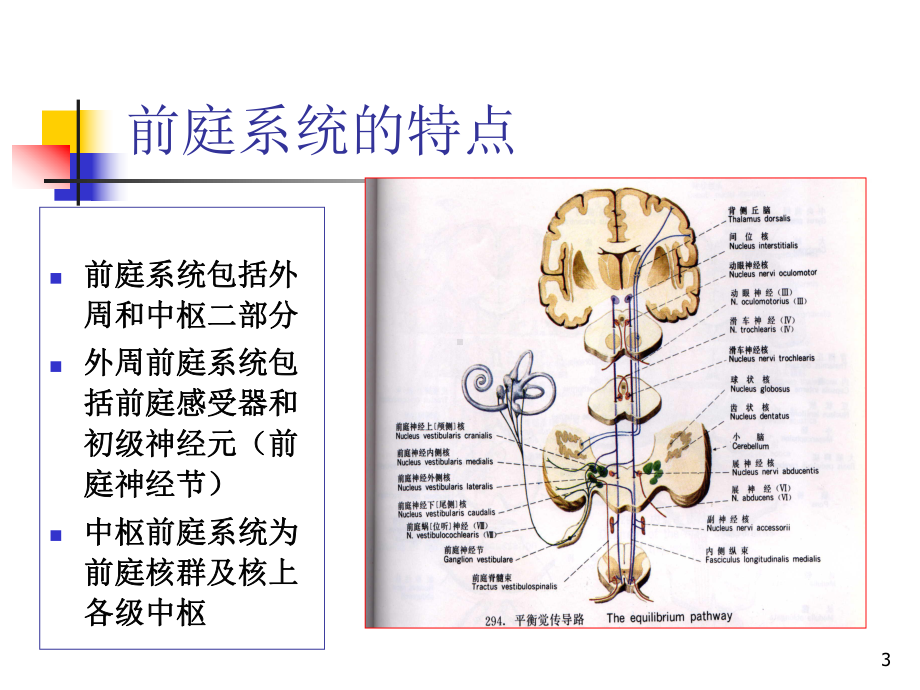 位置性眩晕的诊断与治疗讲课课件.pptx_第3页