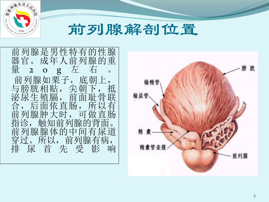 前列腺电切术的护理参考课件.ppt_第3页