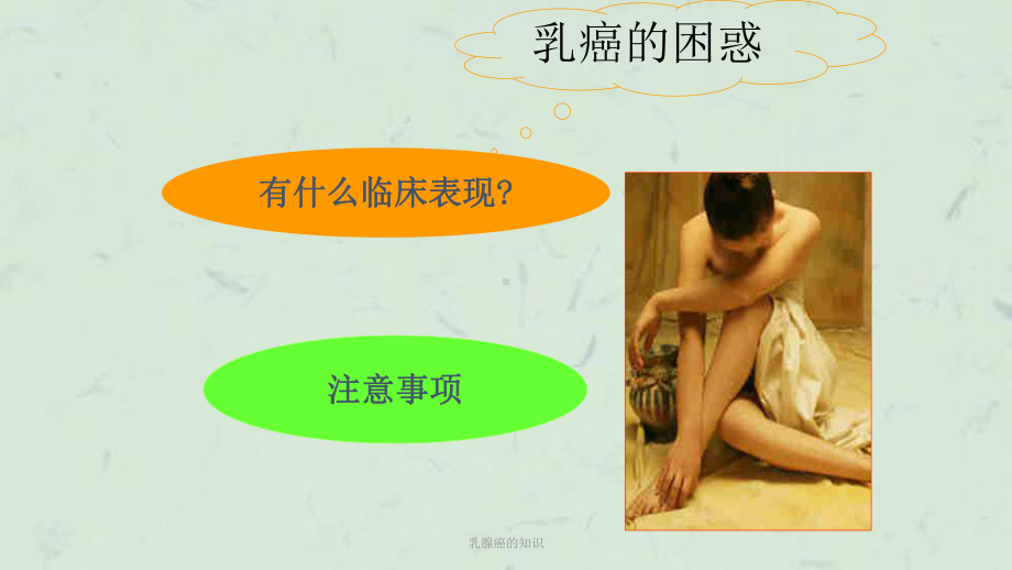 乳腺癌的知识课件.ppt_第2页