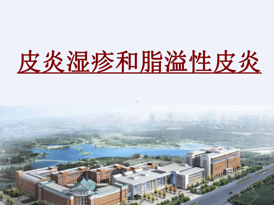 医学皮炎湿疹和脂溢性皮炎培训课件.ppt_第1页