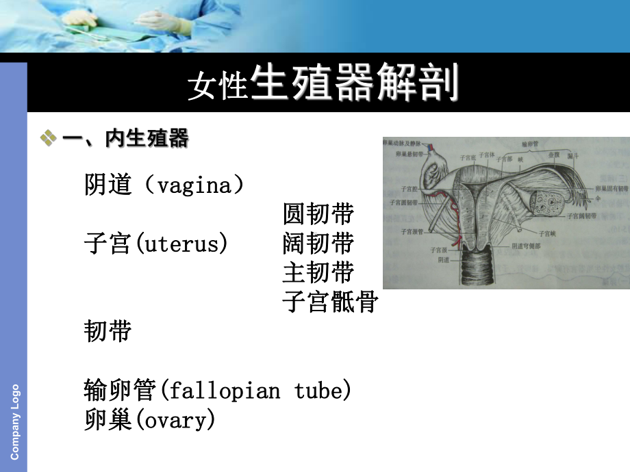 子宫切除术护理查房剖析课件.ppt_第3页