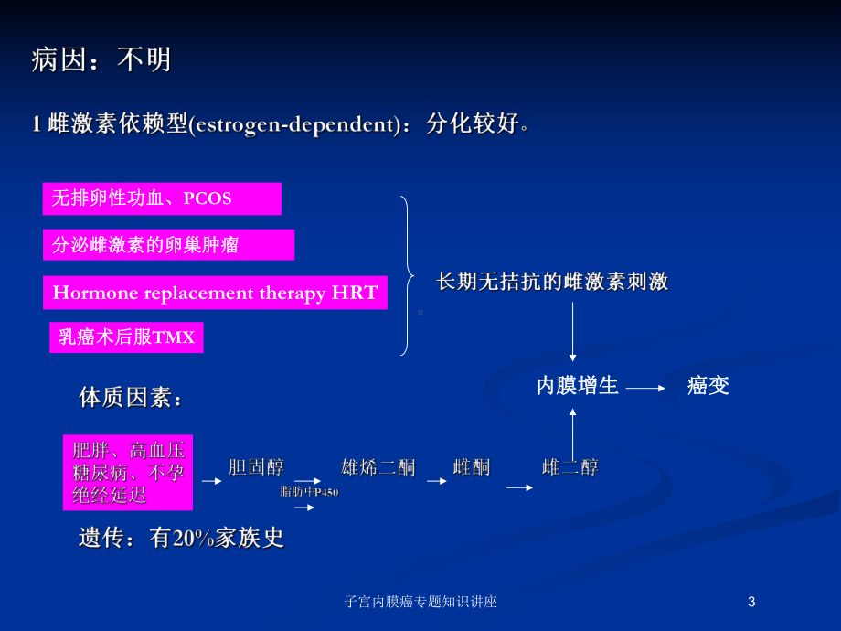 子宫内膜癌专题知识讲座培训课件.ppt_第3页