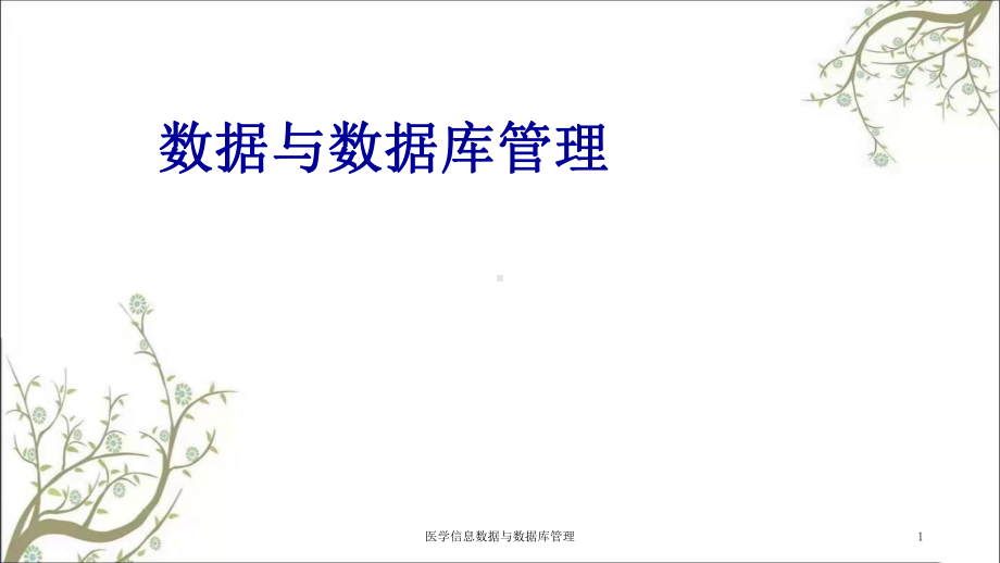 医学信息数据与数据库管理课件.ppt_第1页