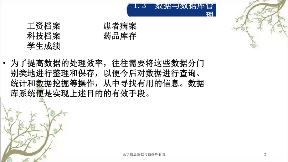 医学信息数据与数据库管理课件.ppt_第2页