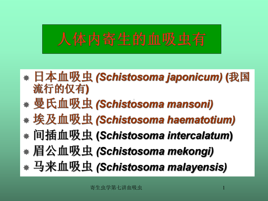 寄生虫学第七讲血吸虫课件.ppt_第1页