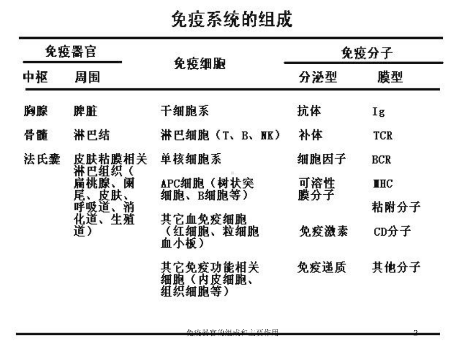 免疫器官的组成和主要作用培训课件.ppt_第2页