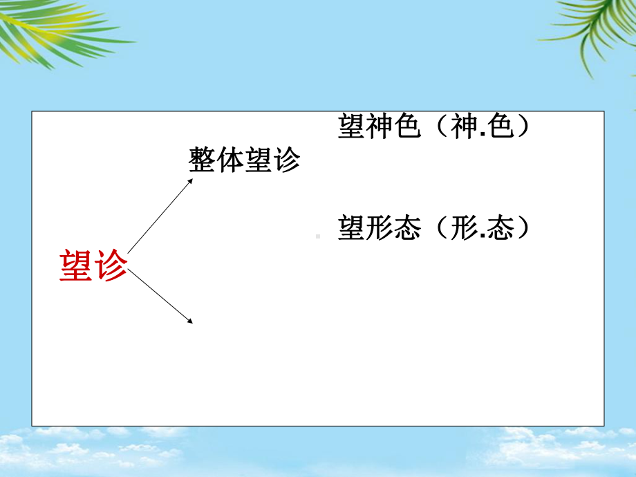 小儿推拿职业班基础串讲第五节中医四诊课件.ppt_第3页