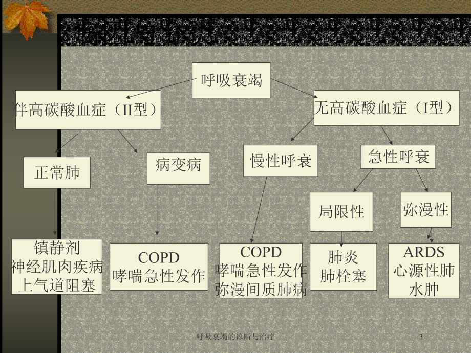 呼吸衰竭的诊断与治疗培训课件.ppt_第3页