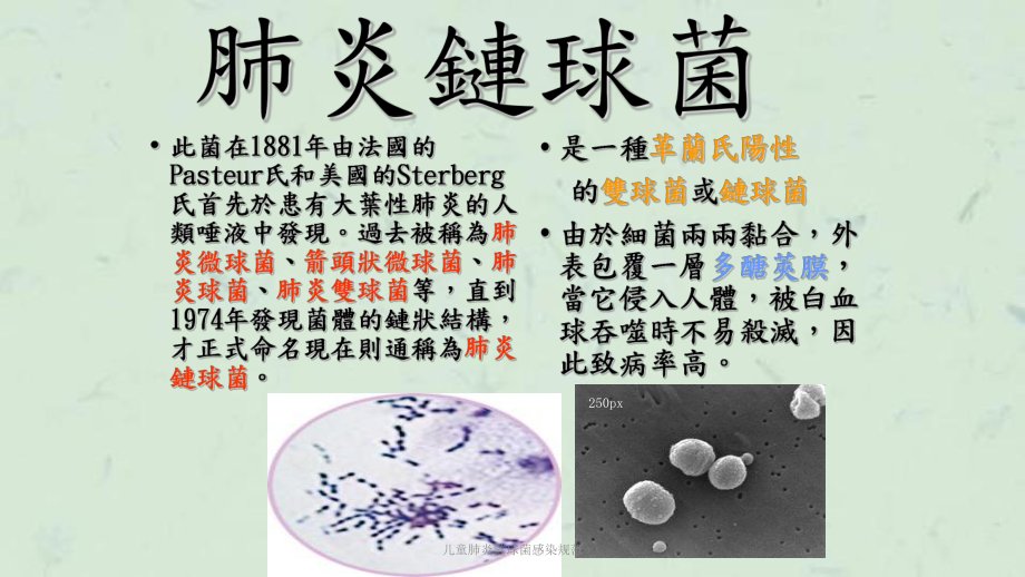 儿童肺炎链球菌感染规范课件.ppt_第2页