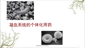 凝血系统的个体化用药探讨课件.ppt