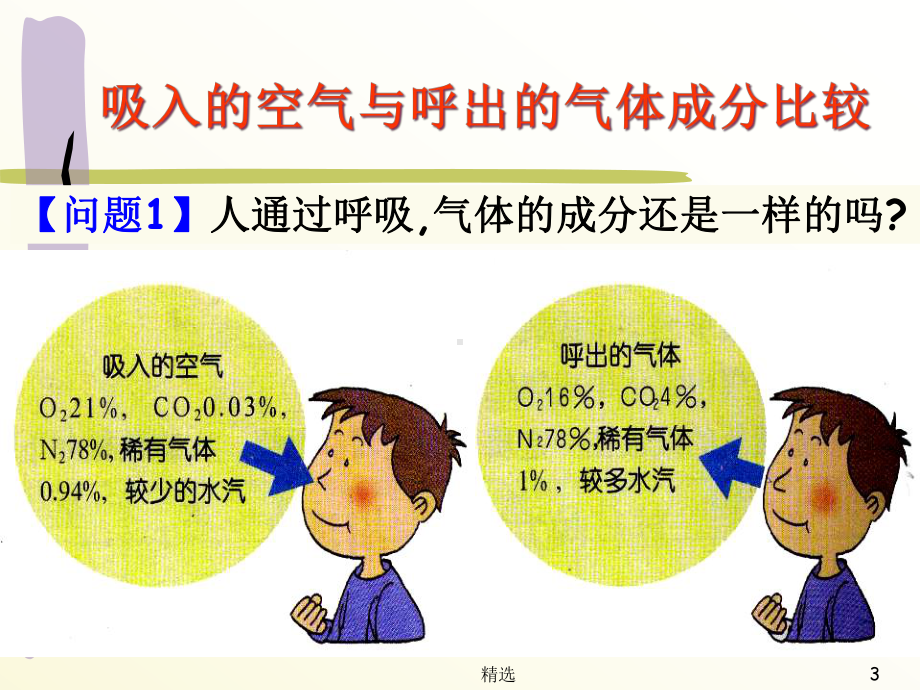 呼吸道和肺课件.ppt_第3页