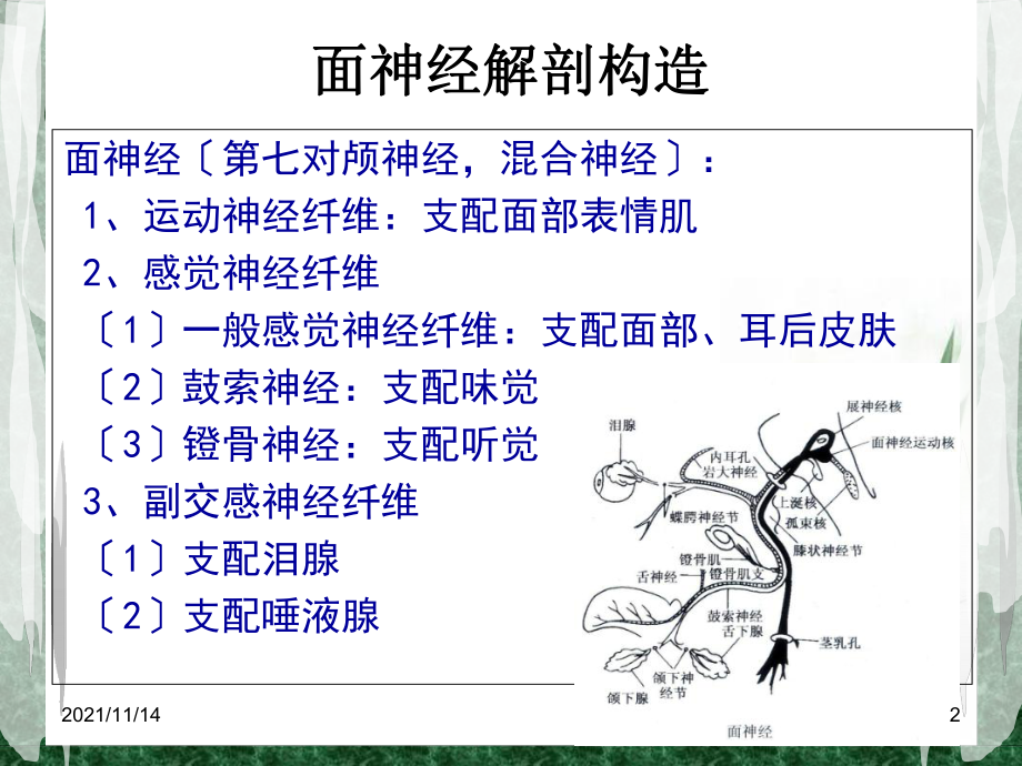 周围性面神经麻痹针灸治疗课件.ppt_第2页