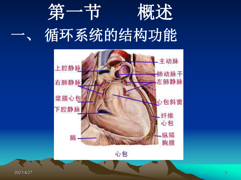 内科循环概述课件.ppt_第2页