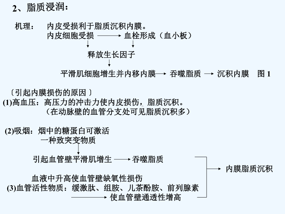 动脉硬化相关知识课件.ppt_第2页