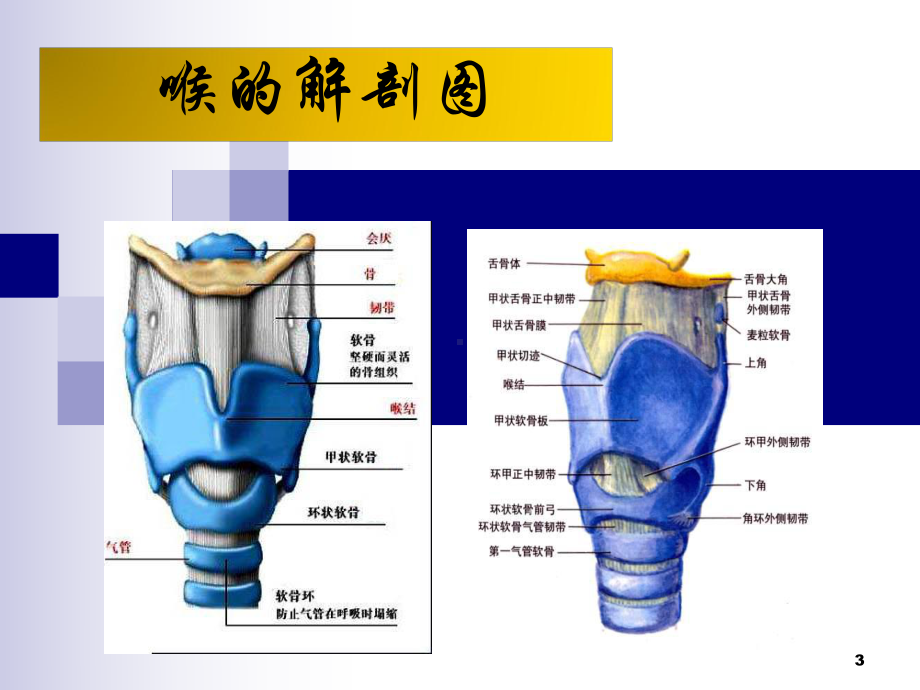 喉癌护理查房课件-2.ppt_第3页