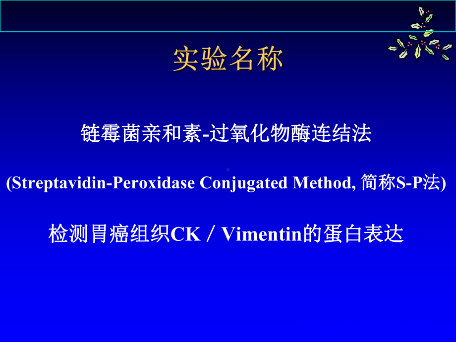 免疫组织化学染色SP技术课件.ppt_第2页