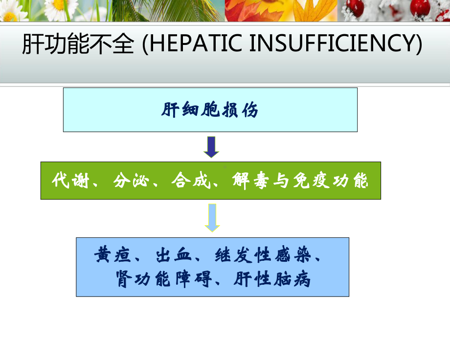 医学课件-急性肝功能不全教学课件.ppt_第3页