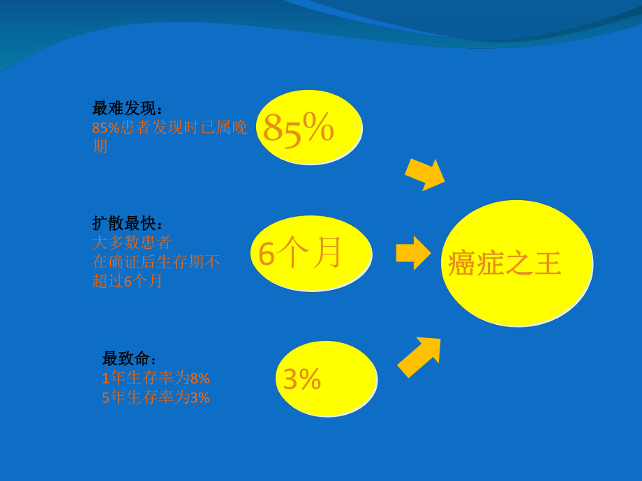 医学课件胰腺癌护理业务学习.ppt_第3页