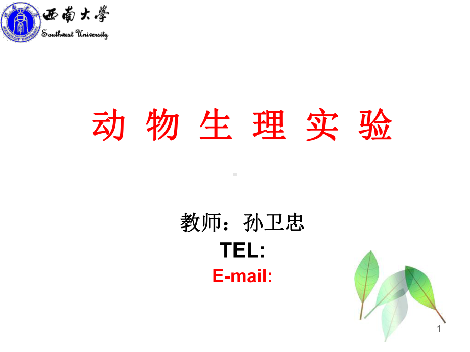 实验一坐骨神经腓肠肌课件.ppt_第1页