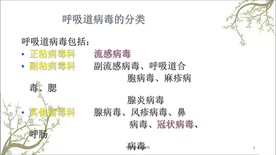 呼吸道病毒课件.ppt_第2页