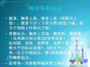 医学课件胸部体格检查专题宣讲.ppt