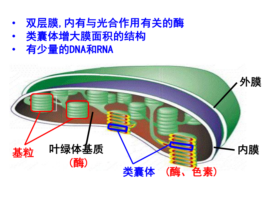 人教版生物新教材《光合作用的原理和应用》完美课件1.pptx_第1页