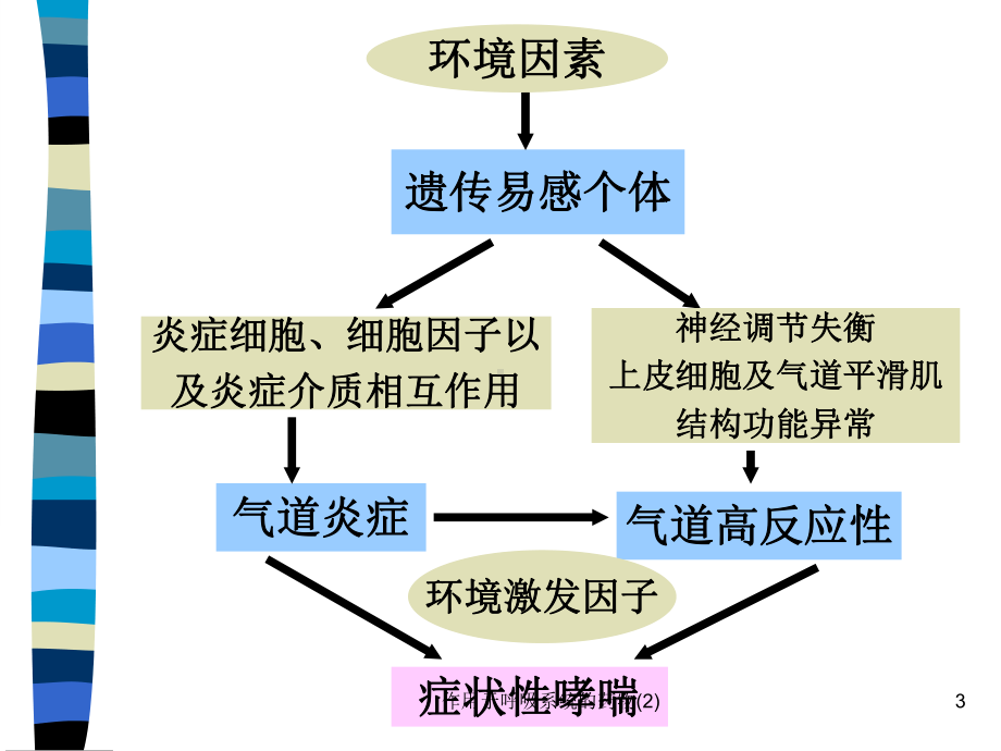 作用于呼吸系统的药物课件2.ppt_第3页