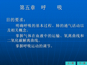 动物生理学课件第05章呼吸.ppt